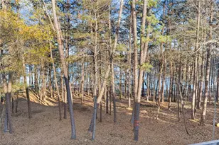 287 Spring Branch Cir, Toccoa, GA 30577 - Photo 50