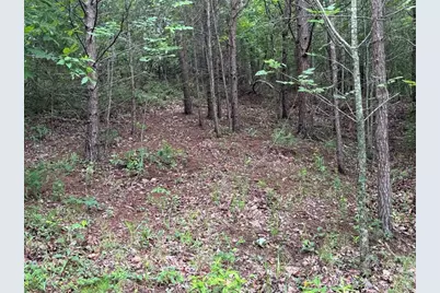 575 Galaxy Way NE, Ranger, GA 30734 - Photo 6