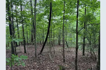 575 Galaxy Way NE, Ranger, GA 30734 - Photo 10