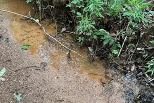 410 N Sharp Mtn Church Ln, Ball Ground, GA 30107 - Photo 30