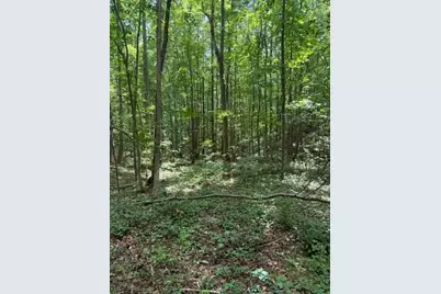 410 N Sharp Mountain Church Lane, Ball Ground, GA 30107 - Photo 32