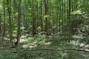 410 N Sharp Mtn Church Ln, Ball Ground, GA 30107 - Photo 32