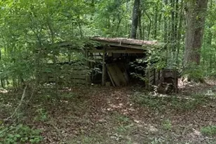 410 N Sharp Mtn Church Ln, Ball Ground, GA 30107 - Photo 34