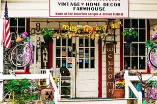 168 Brandle Rose Wy, Hoschton, GA 30548 - Photo 64