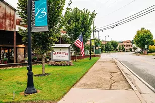 168 Brandle Rose Wy, Hoschton, GA 30548 - Photo 92