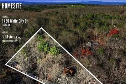 1480 White City Drive, Canton, GA 30115 - Photo 38