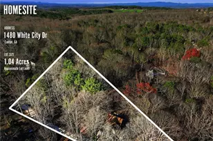 1480 White City Dr, Canton, GA 30115 - Photo 38