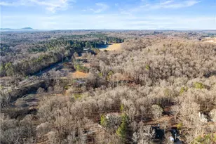 175 Blacks Mill Ct, Dawsonville, GA 30534 - Photo 36