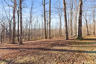 175 Blacks Mill Ct, Dawsonville, GA 30534 - Photo 28