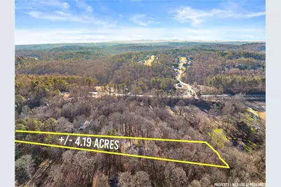 175 Blacks Mill Court, Dawsonville, GA 30534 - Photo 42