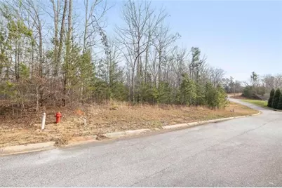 0 Beachwood Drive, Cornelia, GA 30531 - Photo 4