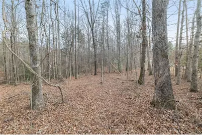 0 Beachwood Drive, Cornelia, GA 30531 - Photo 10