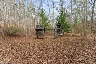 261 Ridgeway Rd, Dahlonega, GA 30533 - Photo 42