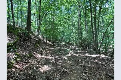 0 Super Deluxe Road, Rockmart, GA 30153 - Photo 6