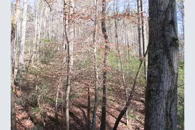 Lot58 Doe Run, Ellijay, GA 30540 - Photo 8