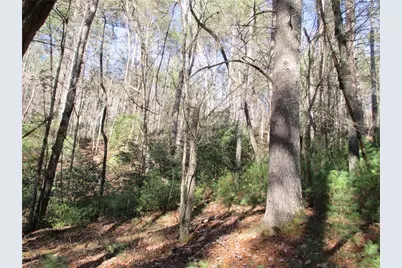 Lot58 Doe Run, Ellijay, GA 30540 - Photo 14