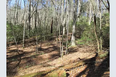Lot58 Doe Run, Ellijay, GA 30540 - Photo 16