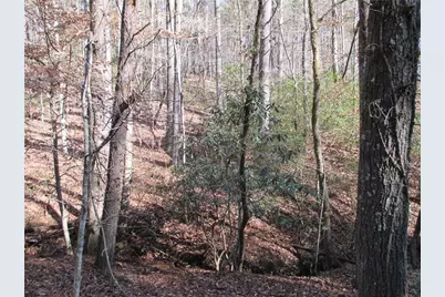 Lot58 Doe Run, Ellijay, GA 30540 - Photo 4