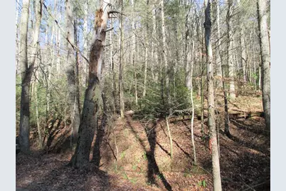 Lot58 Doe Run, Ellijay, GA 30540 - Photo 6