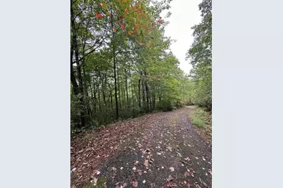 7 Sequoia Hills Lane, Clayton, GA 30525 - Photo 8