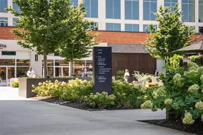 3040 Peachtree Rd #1205, Atlanta, GA 30305 - Photo 42