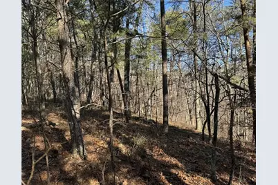 1493 Derby Court NE, Ranger, GA 30734 - Photo 6