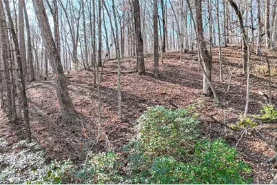 9384 Skitts Mountain, Lula, GA 30554 - Photo 6