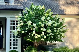 476 Wildcat Trail, Big Canoe, GA 30143 - Photo 80