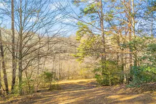 601 Beaver Lake Drive, Clarkesville, GA 30523 - Photo 28