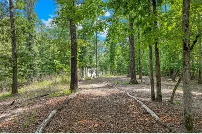 6226 Random Winds Bluff, Gainesville, GA 30506 - Photo 66