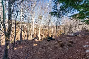 2017 Eagles Ridge, Waleska, GA 30183 - Photo 50