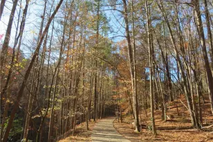 26 Mountain View Ct, Waleska, GA 30183 - Photo 30