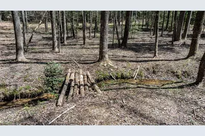 390 Sunny Brook Road, Blue Ridge, GA 30513 - Photo 56