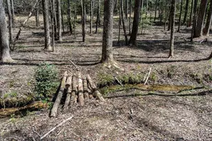 390 Sunny Brook Rd, Blue Ridge, GA 30513 - Photo 56