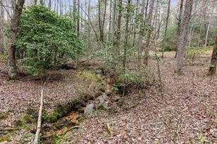 390 Sunny Brook Rd, Blue Ridge, GA 30513 - Photo 58