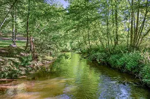 390 Sunny Brook Rd, Blue Ridge, GA 30513 - Photo 14