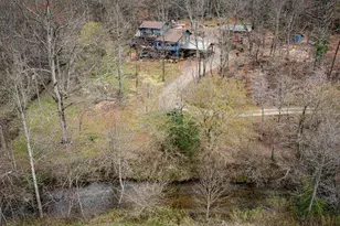 390 Sunny Brook Rd, Blue Ridge, GA 30513 - Photo 1