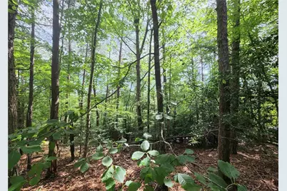 0 Rosen Strasse, Helen, GA 30545 - Photo 2
