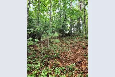 0 Rosen Strasse, Helen, GA 30545 - Photo 10