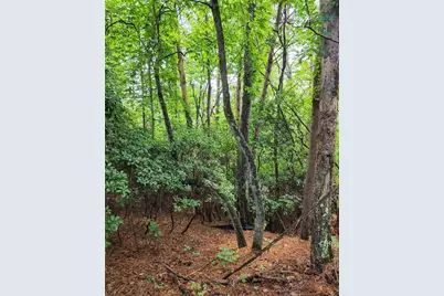 0 Rosen Strasse, Helen, GA 30545 - Photo 6