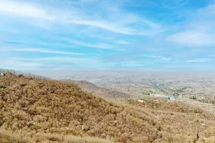 1006 Chestnut Cove Trail, Jasper, GA 30143 - Photo 30