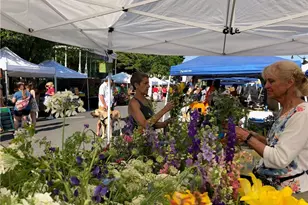 183 Cole St NE, Marietta, GA 30060 - Photo 50