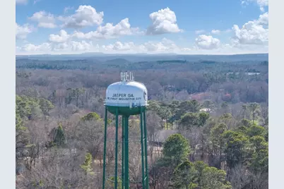 206 Deerberry Drive, Jasper, GA 30143 - Photo 52