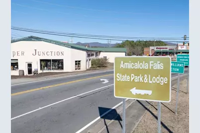 214 Deerberry Drive, Jasper, GA 30143 - Photo 48