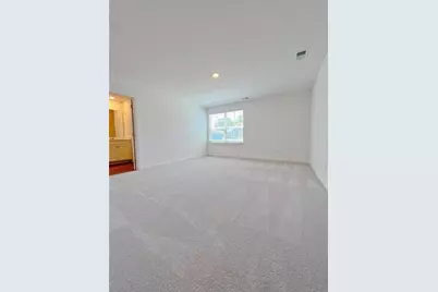 117 Goshawk Street Braselton Ga 30517, Braselton, GA 30517 - Photo 12