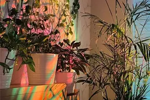 1252 Parktown Dr, Mableton, GA 30126 - Photo 16