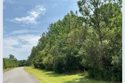 0 La Vento Lane, Waverly, GA 31565 - Photo 1