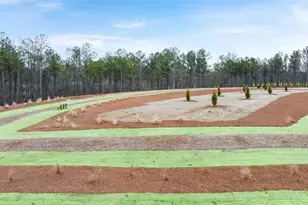 277 Sound Cir, Stockbridge, GA 30281 - Photo 50