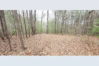 361 Vista Dell Lane, Tallulah Falls, GA 30573 - Photo 1