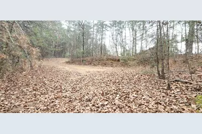 361 Vista Dell Lane, Tallulah Falls, GA 30573 - Photo 8